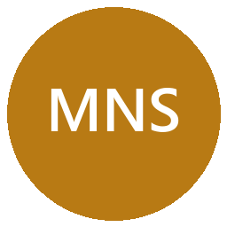 Managed Network Systems Inc logo