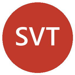 Spring Valley Telephone Company Inc logo
