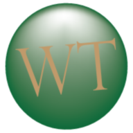 WT Services logo