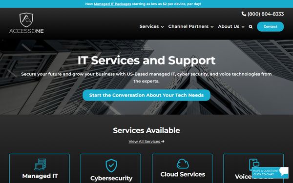 Homepage screenshot of Access One Inc - IL