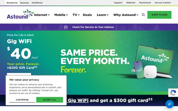 Homepage screenshot of RCN Telecom Services Inc - NY