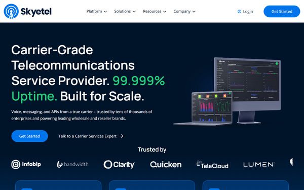 Homepage screenshot of Skye Telecom LLC dba Skyetel