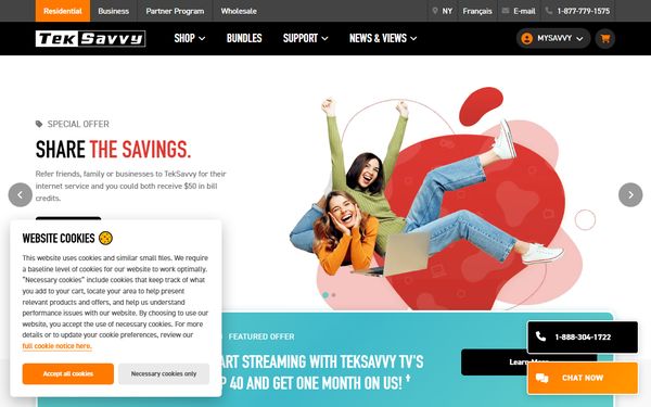 Homepage screenshot of TekSavvy Solutions