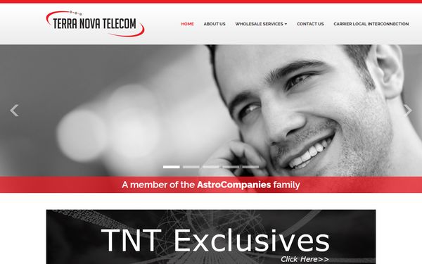 Homepage screenshot of Terra Nova Telecom Inc