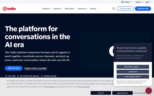 Homepage screenshot of Twilio International